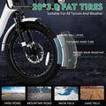 ABORON 3.0 Fat Tire Electric Trike for Senior Foldable E Bike, 500W Motorized Tricycle Adult 20" Folding 3 Wheel Electric Commute Bike Trike W/48V